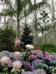 Crystal Palace Plant Exhibit in Retiro Park Madrid Crystal Palace Plant Exhibit in Retiro Park Madrid