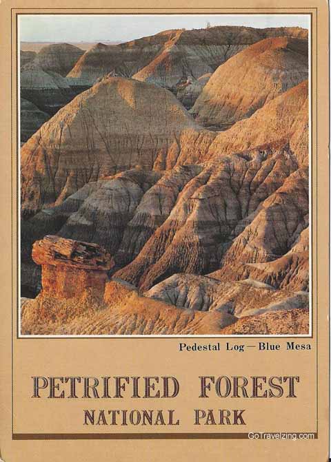 Petrified Forest National Park Postcard